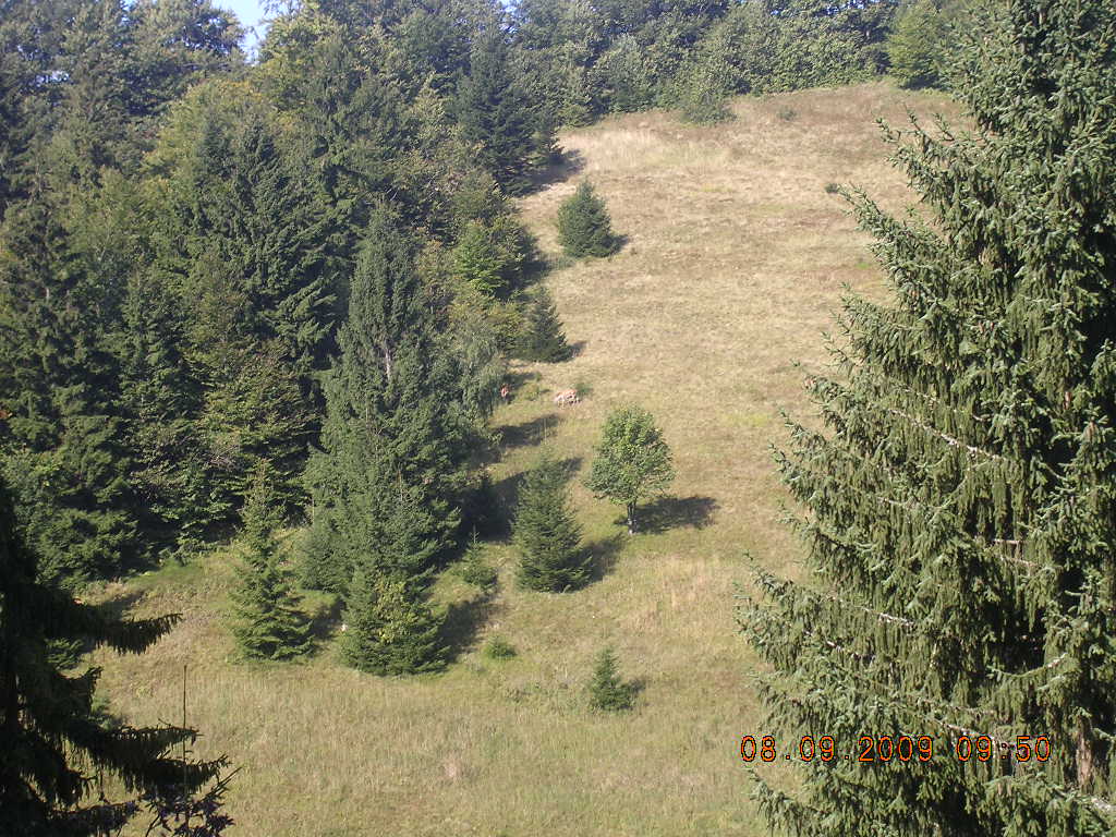 Leto 2009 093.jpg