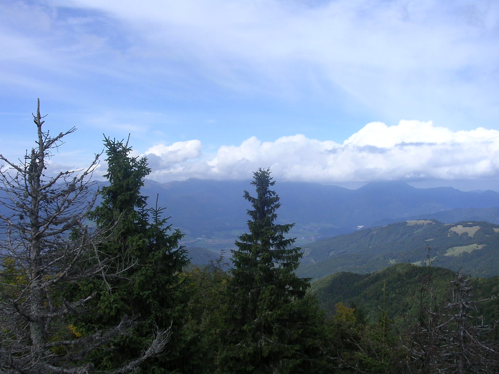 Leto 2010 301.jpg